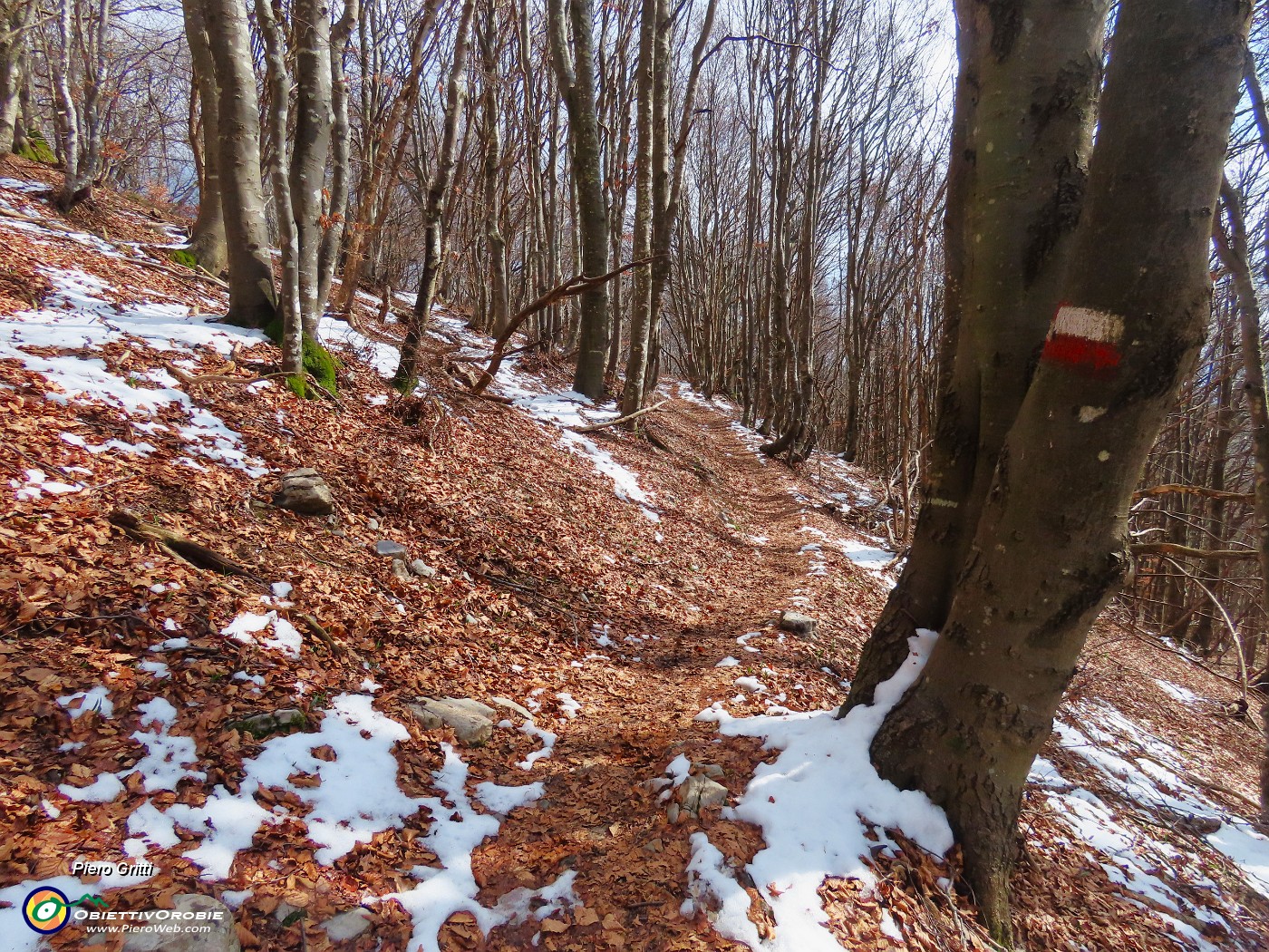 50 Proseguendo in discesa la neve scompare.JPG